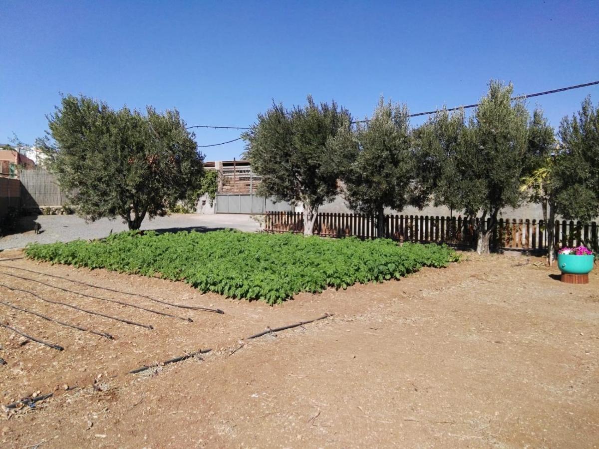 La Casita Del Naranjo Casa de vacances *