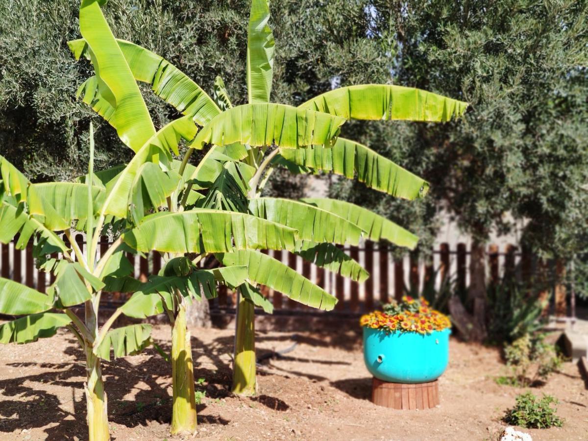 La Casita Del Naranjo Casa de vacances